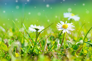 引き寄せの法則